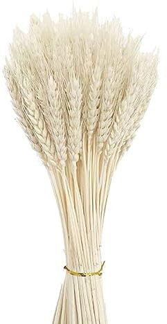 Niooce 100 Stück Weizen getrocknet Natürliche getrocknete Weizenähren, Für Blumenstrauß Requisiten, Heim- Oder Partydekorationen 40cm,weiß