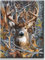 Yiminu.DS Diamond Painting Erwachsene, Diamant Painting Bilder 30x40cm 5D Diamond-Painting Diamant Painting Bastelset BastelnWanddeko, Hirsch Wald