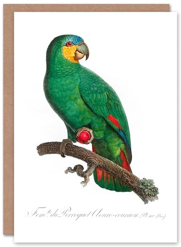 Artery8 Francois Levaillant Art Card The Orange Winged Amazon Parrot