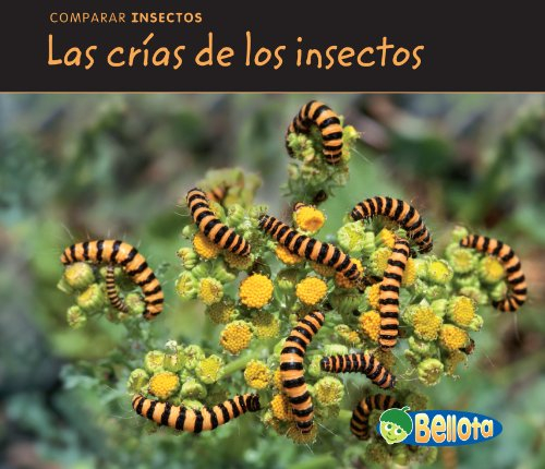 Las Crías de Los Insectos = Bug Babies (Comparar insectos)