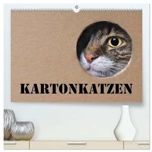 Karton Katzen (hochwertiger Premium Wandkalender 2026 DIN A2 quer), Kunstdruck in Hochglanz: Lustige Katzen begleiten Sie das ganze Jahr. (CALVENDO Tiere)