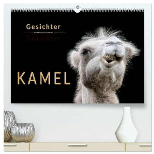 Kamel Gesichter (hochwertiger Premium Wandkalender 2026 DIN A2 quer), Kunstdruck in Hochglanz: Eindrucksvolle Bilder der Überlebenskünstler. (CALVENDO Tiere)