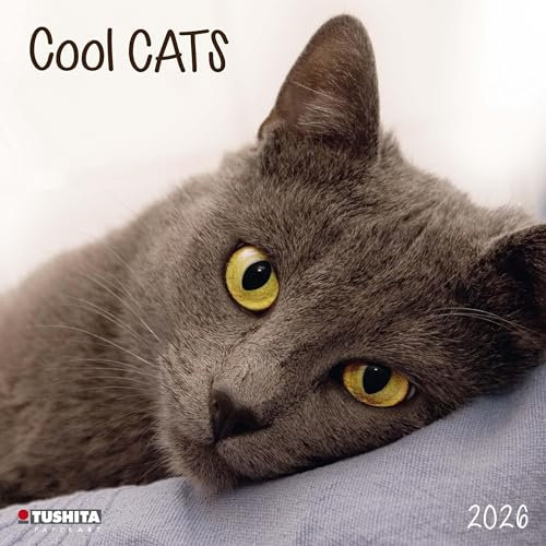 Cool Cats 2026: Kalender 2026 (Wonderful World)