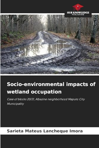Socio-environmental impacts of wetland occupation: Case of blocks 20/21, Albazine neighborhood Maputo City Municipality
