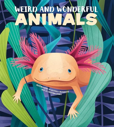 Weird and Wonderful Animals
