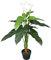 vidaXL Planta Cala Lilly Artificial con Macetero 85 cm Blanco Maceta Plástico