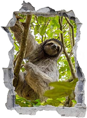 Gougeltd 3D Wandtattoo Faultier am Baum Wandaufkleber Kinderzimmer Mädchen wandtattoo Teenager Wandtattoo Wanddeko fürs Kinderzimmer 80x120cm