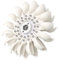 1 girante Pelton a impatto per acqua idroelettrica, generatore idroelettrico fai da te (96 mm x 29 mm x 8 mm)