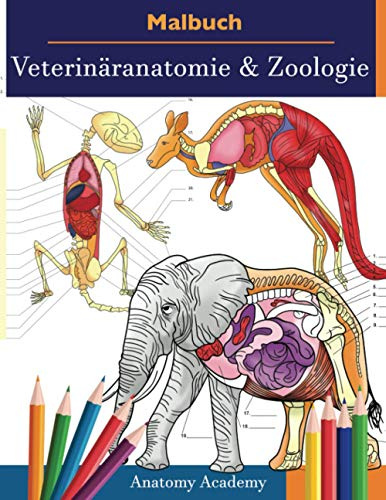 Malbuch Veterinäranatomie & Zoologie: 2-in-1 Zusammenstellung | Unglaublich Detailliertes Farbarbeitsbuch zum Selbsttest der Tieranatomie | Perfektes Geschenk für Tierarztstudenten und Tierliebhaber