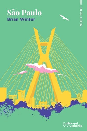 Sao Paulo - La ville moche que tout le monde adore