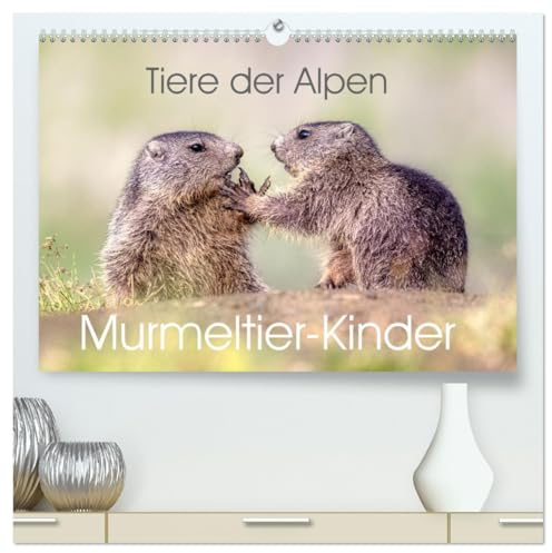 Tiere der Alpen - Murmeltier-Kinder (hochwertiger Premium Wandkalender 2026 DIN A2 quer), Kunstdruck in Hochglanz: Herzige Bilder vom Murmeltier-Nachwuchs (CALVENDO Tiere)