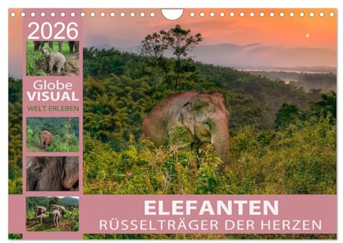 ELEFANTEN - Rüsselträger der Herzen (Wandkalender 2026 DIN A4 quer), CALVENDO Monatskalender: Asien sanfte Riesen (CALVENDO Tiere)
