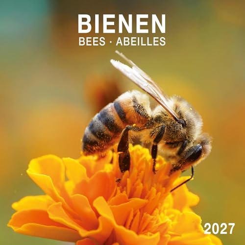 Bienen / Bees 2027: Kalender 2027 (Artwork Edition)