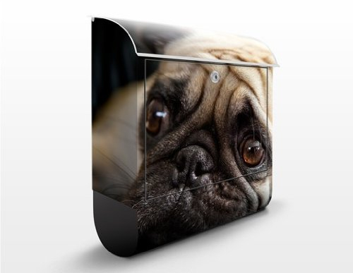 Briefkasten mit Zeitungsrolle Nachdenklicher Mops 46cm x 39cm