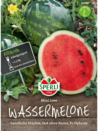 Wassermelone, Mini Love, Citrullus lanatus