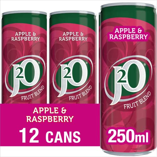 J2O Fruit Juice, Apple and Raspberry, 250ml Cans (Pack of 12)