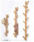 YJPDPYMJ Nanzhu Arbre Porte-Manteau créatif Rack Porte-Manteau Mural Porche Hall Porche décoratif Cadre décoratif (Color : Wood, Size : 8 Forks)