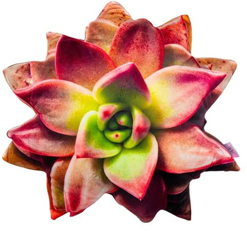 Outentin Blumenkissen, Sofakissen für Wohnzimmer & Kinderzimmer, Deko Sitzkissen mit Blumenform, Ästhetisches Blumenbodenkissen, Kuschelkissen für Mädchen, 41 x 41 cm (Echeveria Agavoides)