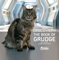 Star Trek Discovery: The Book of Grudge: Book's Cat from Star Trek Discovery