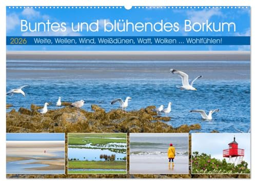 Buntes und blühendes Borkum (Wandkalender 2026 DIN A2 quer), CALVENDO Monatskalender: Weite, Wellen, Wind, Weißdünen, Watt, Wolken ... Wohlfühlen! (CALVENDO Orte)