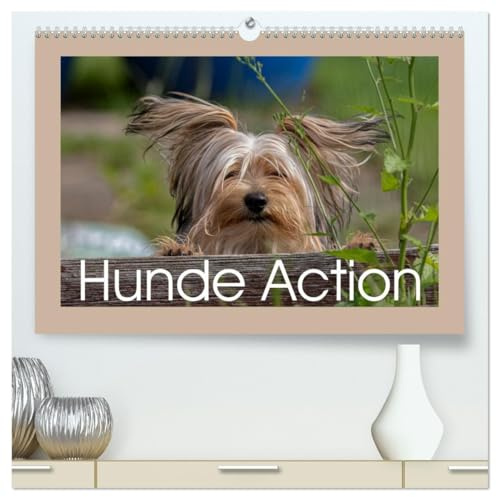 Hunde Action (hochwertiger Premium Wandkalender 2026 DIN A2 quer), Kunstdruck in Hochglanz: Hunde in Bewegung immer schön anzuschauen. (CALVENDO Tiere)