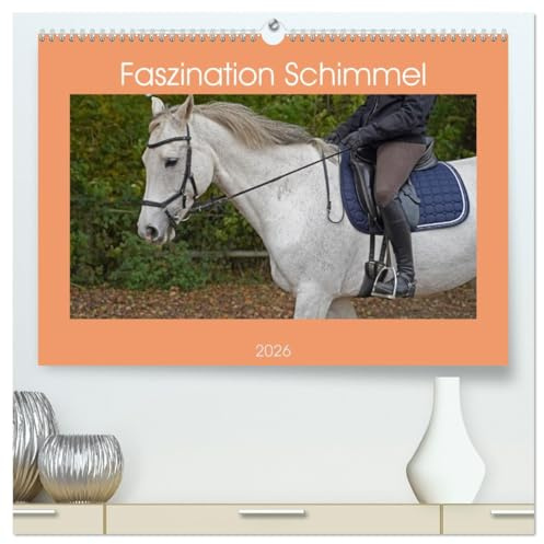 Faszination Schimmel (hochwertiger Premium Wandkalender 2026 DIN A2 quer), Kunstdruck in Hochglanz: Ein Reittag mit dem Schimmel Wallach Clark und der Schimmel Stute Coco (CALVENDO Tiere)