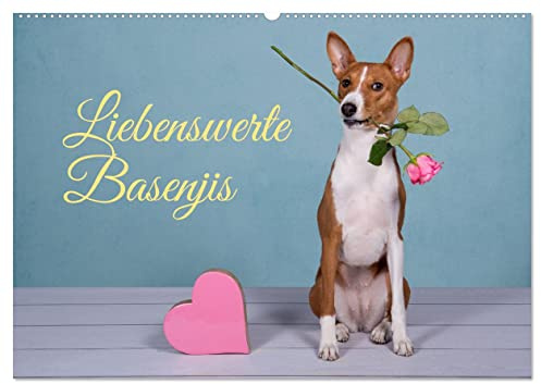 Liebenswerte Basenjis (Wandkalender 2026 DIN A2 quer), CALVENDO Monatskalender: Basenjis - intelligent, flink, hübsch, wunderbar! (CALVENDO Tiere)