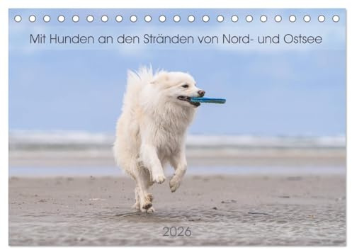 Mit Hunden an den Stränden von Nord- und Ostsee (Tischkalender 2026 DIN A5 quer), CALVENDO Monatskalender: Hunde aller Altersklassen genießen das Strandleben. (CALVENDO Tiere)