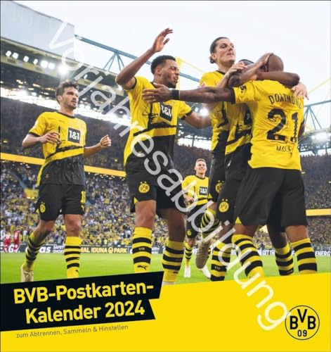 BVB Postkartenkalender 2025: Kleiner Kalender für große Fans: Die Stars von Borussia Dortmund in einem Tischkalender zum Aufstellen oder Aufhängen. Jeden Monat eine Spieler-Postkarte. (ABAJH41(04))