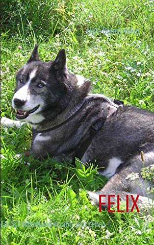 FELIX: Ein Schlittenhund erzählt sein Leben