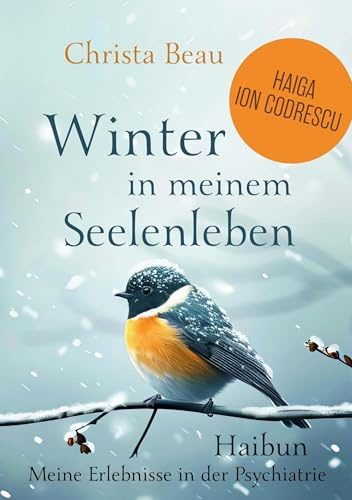 Winter in meinem Seelenleben: Haibun / Meine Erlebnisse in der Psychatrie