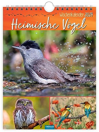 Trötsch Wochenkalender zum Hängen Heimische Vögel 2024: Wandkalender