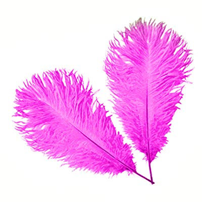 Weddecor - Piume di struzzo naturale, 35-40 cm, lunghezza 35-40 cm, per matrimoni, casa, decorazione, costumi, decorazioni, arte e artigianato, feste (confezione da 5)