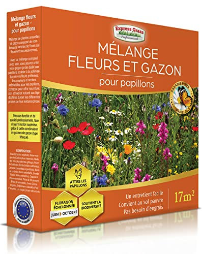 Mélange de fleurs pour Papillons (17M2) - Gazon japonais