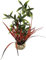 Tyrol - Plante d'Aquarium Artificielle XL 23CM - Décoration pour Aquarium - Plante d'intérieur en Plastique sur Socle - Etoile Herbe Rouge - Ancrage Facile au Fond de l'Aquarium - Fabriquée en France