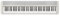 Casio Casiotone CT-S1-76 76 Keys Touch-Sensitive Portable Keyboard with 61 Tones, USB, App Control, Surround Bass Stereo Speakers, Aux Input, Output