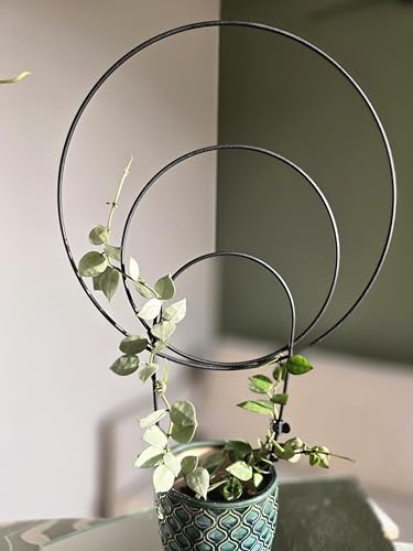 LEAFO Rankhilfe Sunshine für Zimmerpflanzen Monstera 48 cm Metall Schwarz | Rankgitter Pflanzenstütze aus Metall mit 3 Ringen für Kletterpflanzen wie Monstera, Efeutute, Hoya und Philodendron im Topf