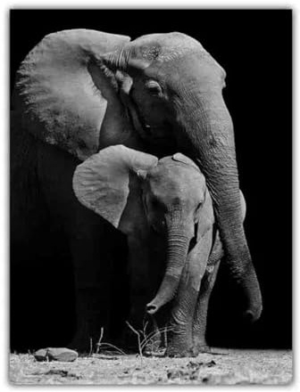 Baibexing Schwarz-Weißer Elefant Tier Wandkunst Leinwand Malerei Poster Drucke Für Wohnzimmer Wohnkultur Bild A10 40X60Cm Kein Rahmen
