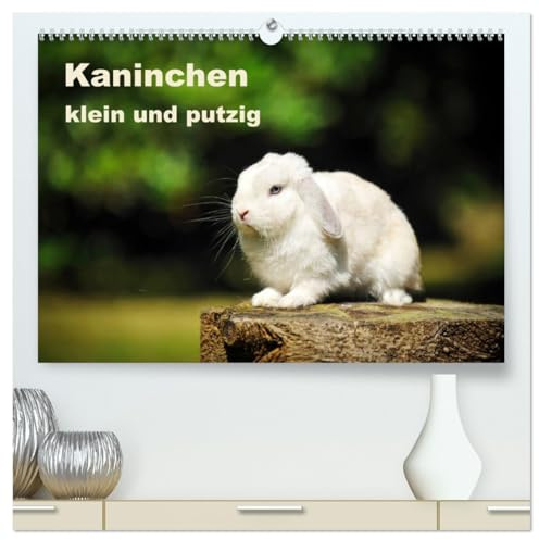 Kaninchen klein und putzig (hochwertiger Premium Wandkalender 2026 DIN A2 quer), Kunstdruck in Hochglanz: Wundervolle Bilder von süßen Kaninchen, wie ... und das Hauskaninchen. (CALVENDO Tiere)
