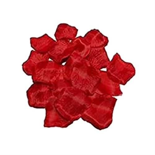 HAAC Lot de 500 pétales de Rose factices Bordeaux