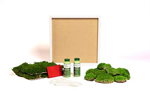 DIY Moosbild selber machen, Wandbilder selber kleben, Moosbilder selbst gestalten Do it yourself Set Moos kleben Wanddeko selbst herstellen Wandbild Komplett-Set Holzrahmen (weiß, 45 x 45 cm)