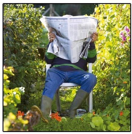 Photographic Greeting Card - (WDM-429347) - Birthday/Blank - Perfect Spot - Man Reading Newspaper - From The Framed Range - Suitable For Birthdays & Other Occasions