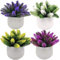 Fycooler Plantas Artificiales en Maceta del Cactus del Topiarios, Suculentas Falsas Decorativas Plantas de Falsos para la Decoración del Banquete de Boda de la Mesa de la Oficina en Casa -4pcs