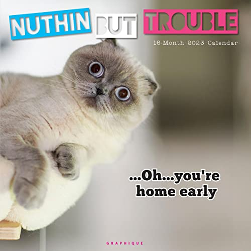 Graphique 2023 Nuthin' but Trouble Wandkalender | 30,5 x 30,5 cm | dickes Papier | Home & Office Organizer | großes monatliches Raster | 3 Sprachen & markierte Feiertage | 4 Monate Vorschau Seite für 2024