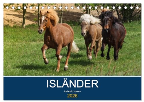 Isländer - icelandic horses (Tischkalender 2026 DIN A5 quer), CALVENDO Monatskalender: Mit den Wikingerpferden durch das Jahr (CALVENDO Tiere)