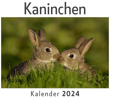Kaninchen (Wandkalender 2024, Kalender DIN A4 quer, Monatskalender im Querformat mit Kalendarium, Das perfekte Geschenk)