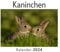Kaninchen (Wandkalender 2024, Kalender DIN A4 quer, Monatskalender im Querformat mit Kalendarium, Das perfekte Geschenk)