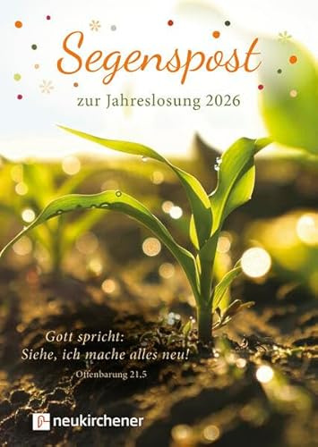 Segenspost zur Jahreslosung 2026: Gott spricht: Siehe, ich mache alles neu! (Offenbarung 21,5)