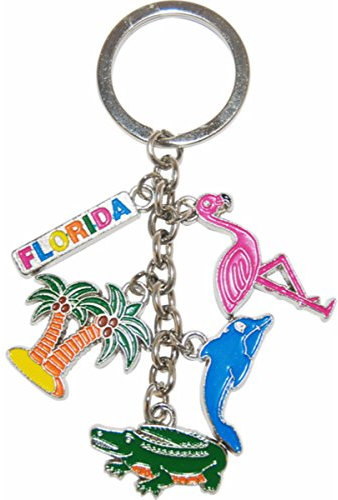 Florida Schlüsselanhänger 5 Charms Metall Delphin Alligator Flamingo