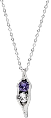 EVE'S ADDICTION Two Peas in a Pod Necklace (16 chain) - Custom Pea in a Pod Birthstone Silver Tone Necklace - Birthstone Jewelry - Push Present - Gifts for Mom